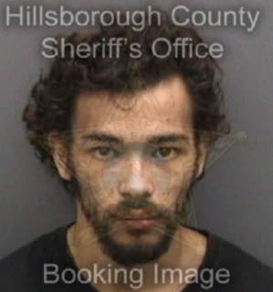 Michaels Louis - Hillsborough County, Florida 