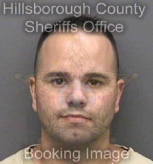 Olsen Michael - Hillsborough County, Florida 