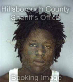 Davis Reginald - Hillsborough County, Florida 