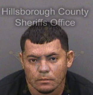 Izaguirelopez Yony - Hillsborough County, Florida 