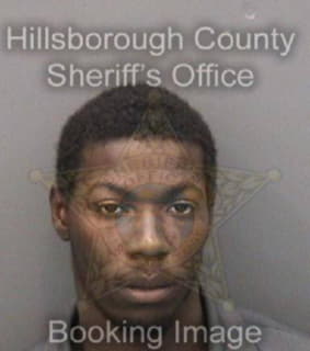 Okeke Alexander - Hillsborough County, Florida 