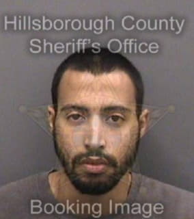 Kunz Jarvis - Hillsborough County, Florida 