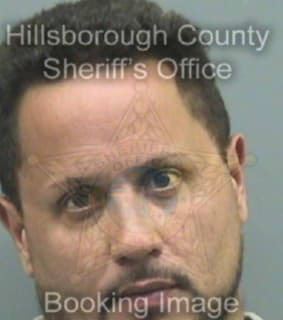 Arocho David - Hillsborough County, Florida 