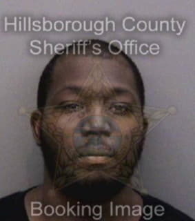 Wilson Kalvin - Hillsborough County, Florida 