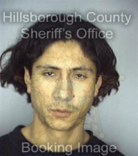 Rondon Luis - Hillsborough County, Florida 