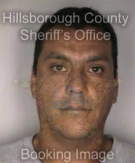 Rodriguez Maurico - Hillsborough County, Florida 