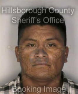 Martinezmanuel Jose - Hillsborough County, Florida 