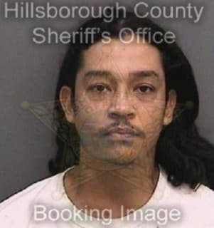 Aguirre Rene - Hillsborough County, Florida 