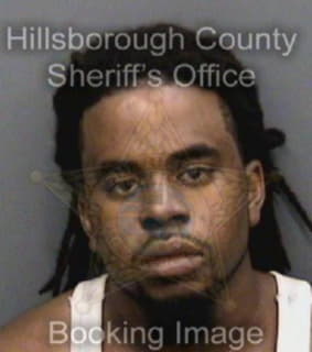 Lewis Jeff - Hillsborough County, Florida 