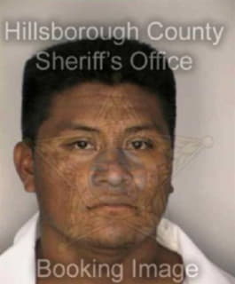 Martinezmanuel Jose - Hillsborough County, Florida 