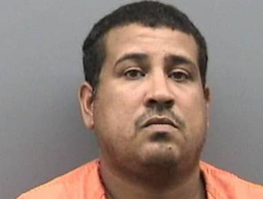 Pena Luis - Hillsborough County, Florida 