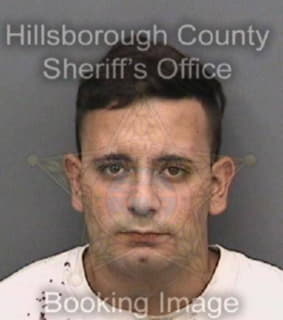 Beltrand Misael - Hillsborough County, Florida 