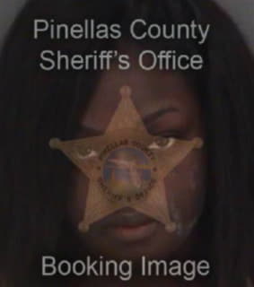 Hunt Shainese - Pinellas County, Florida 