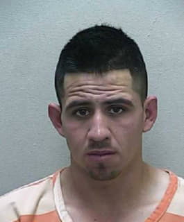 Gonzalez Efrain - Marion County, Florida 