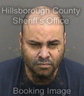 Rosavazquez Jose - Hillsborough County, Florida 