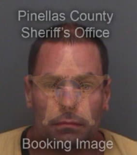 Hollingsworth Matthew - Pinellas County, Florida 