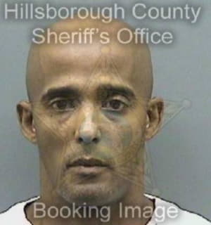 Lugohernandez Miguel - Hillsborough County, Florida 