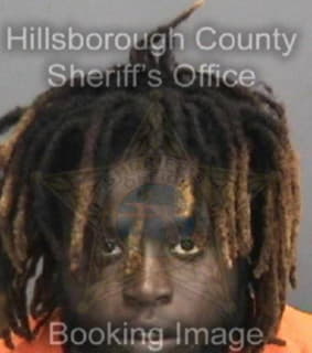 Dixon Demetrius - Hillsborough County, Florida 