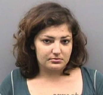 Ariyanfar Sara - Hillsborough County, Florida 