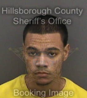 Mcnealy Christopher - Hillsborough County, Florida 