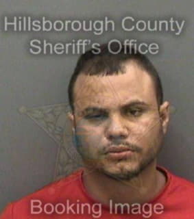 Perez Jesus - Hillsborough County, Florida 