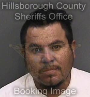 Izaguirreromero Roger - Hillsborough County, Florida 