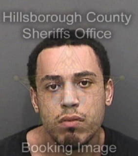 Lengyel Sean - Hillsborough County, Florida 