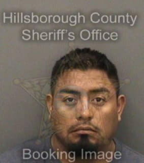 Lopez Trinidad - Hillsborough County, Florida 