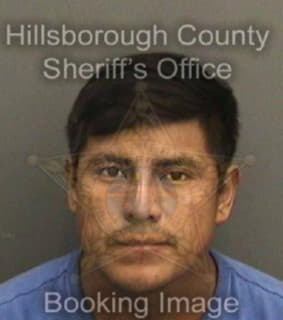 Deleonmartinez Wuilmer - Hillsborough County, Florida 