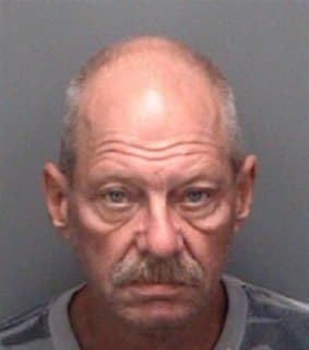 Heinicke Charles - Pinellas County, Florida 