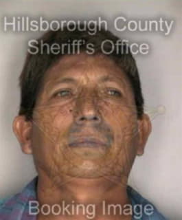 Lopez Jose - Hillsborough County, Florida 