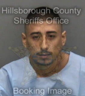 Rodriguez Israel - Hillsborough County, Florida 