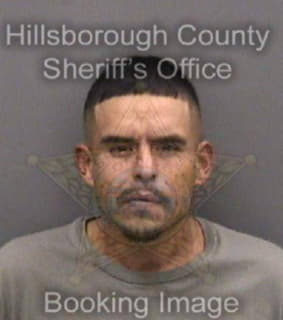 Andrade Jorge - Hillsborough County, Florida 