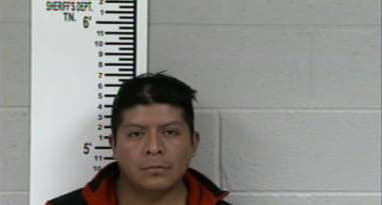 Luis Linares - Franklin County, Tennessee 
