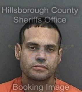 Ortiz Alexander - Hillsborough County, Florida 