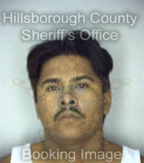 Rosales Donato - Hillsborough County, Florida 