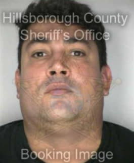 Viera Efrain - Hillsborough County, Florida 