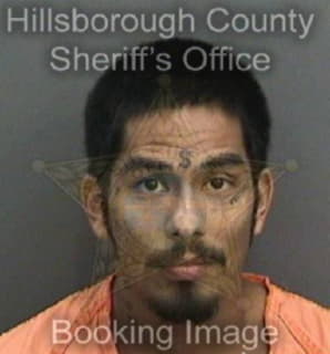 Rodriguez Jonas - Hillsborough County, Florida 