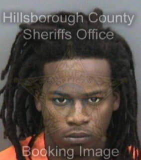 Louis Tavia - Hillsborough County, Florida 