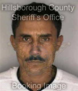 Duarte Tulio - Hillsborough County, Florida 