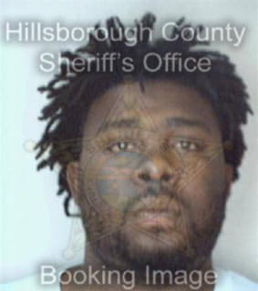 Mccoy Michael - Hillsborough County, Florida 