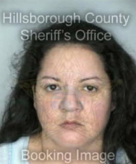 Rodriguez Patricia - Hillsborough County, Florida 