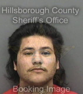 Castillo Christopher - Hillsborough County, Florida 