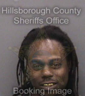 Rejouir Eric - Hillsborough County, Florida 