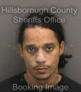 Lopez Ruben - Hillsborough County, Florida 