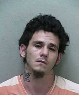 Chan David - Marion County, Florida 