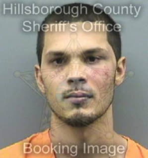 Alicea Evan - Hillsborough County, Florida 