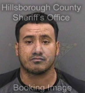 Barrera Nelson - Hillsborough County, Florida 