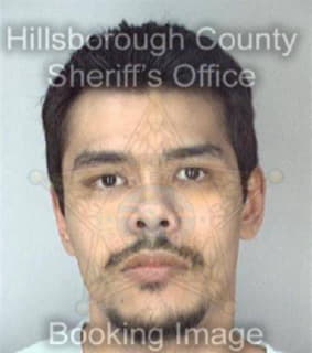 Ramirez Richard - Hillsborough County, Florida 