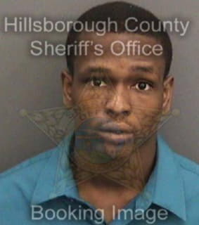 Johnson Deon - Hillsborough County, Florida 